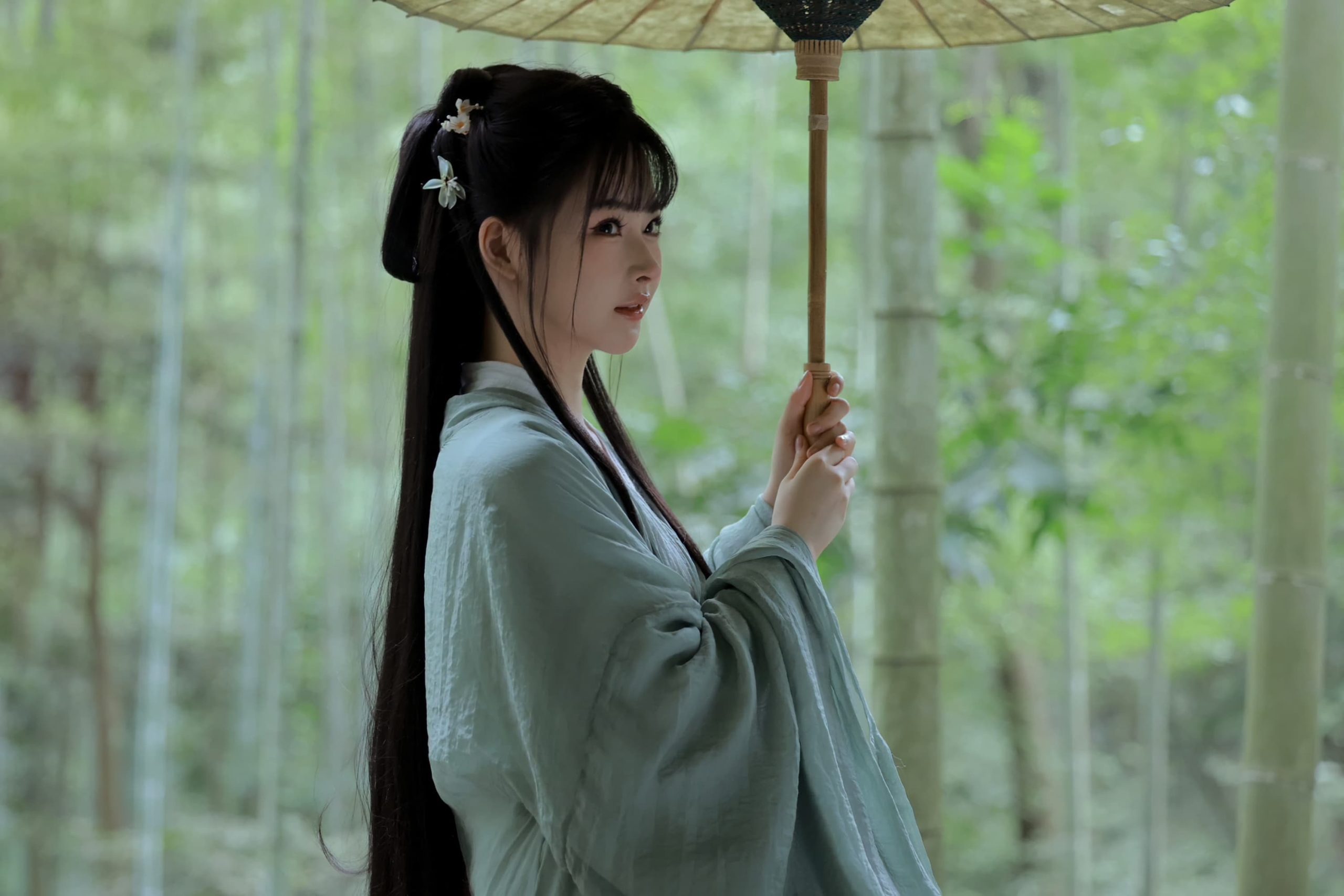 白莉爱吃巧克力 原理猪 古风汉服封面